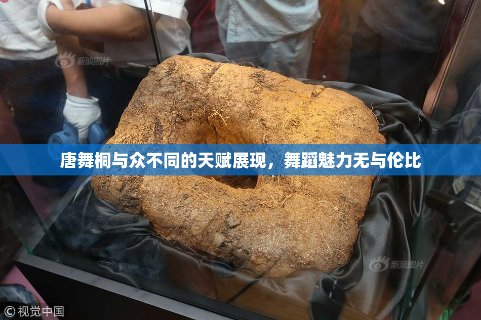 唐舞桐与众不同的天赋展现，舞蹈魅力无与伦比