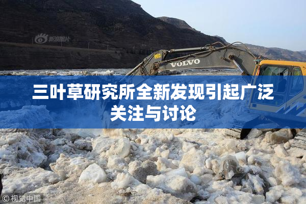 三叶草研究所全新发现引起广泛关注与讨论