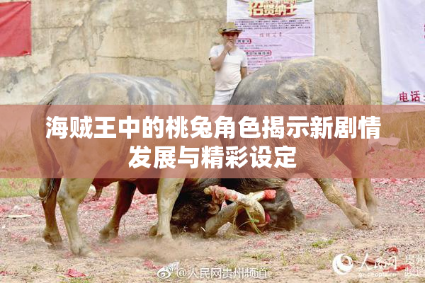 海贼王中的桃兔角色揭示新剧情发展与精彩设定
