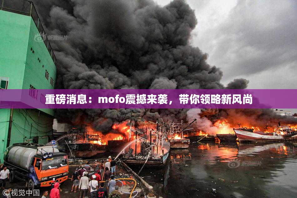 重磅消息：mofo震撼来袭，带你领略新风尚