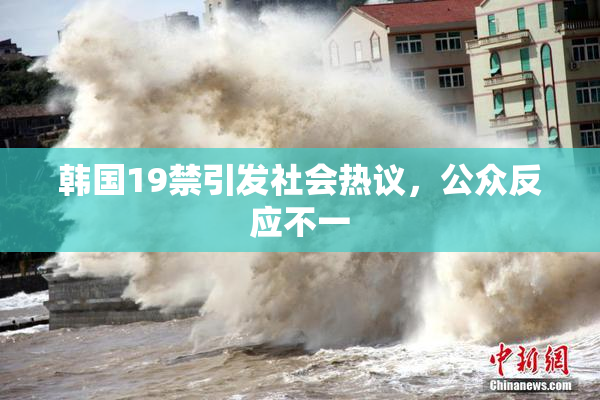 韩国19禁引发社会热议，公众反应不一