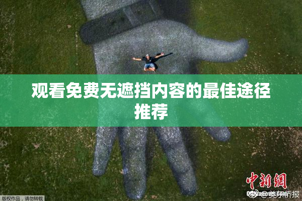 观看免费无遮挡内容的最佳途径推荐