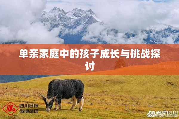 单亲家庭中的孩子成长与挑战探讨