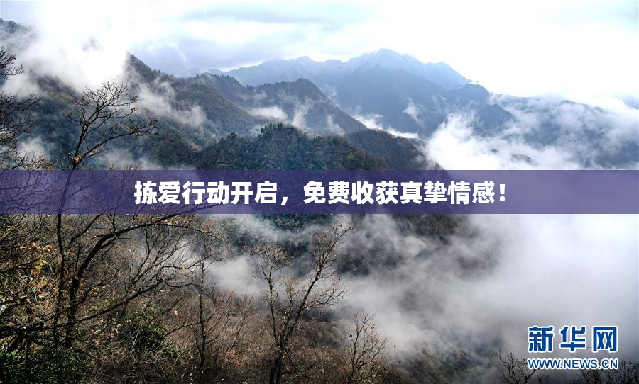 拣爱行动开启，免费收获真挚情感！