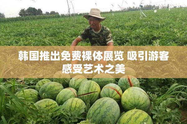 韩国推出免费裸体展览 吸引游客感受艺术之美