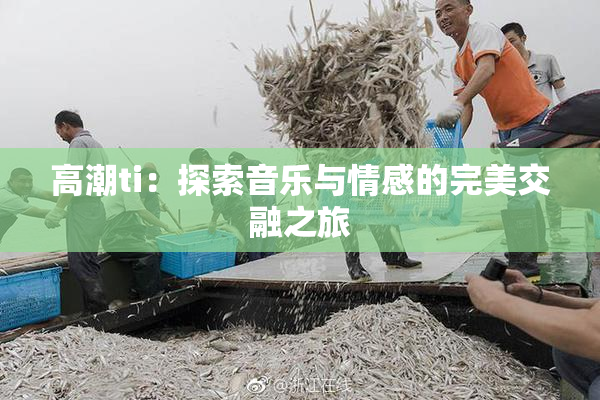 高潮ti：探索音乐与情感的完美交融之旅