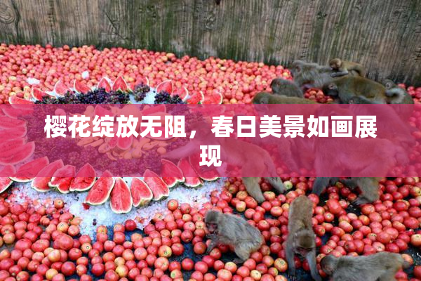 樱花绽放无阻，春日美景如画展现