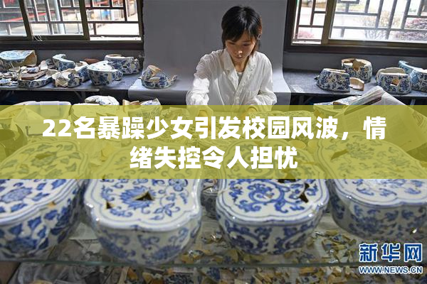 22名暴躁少女引发校园风波，情绪失控令人担忧