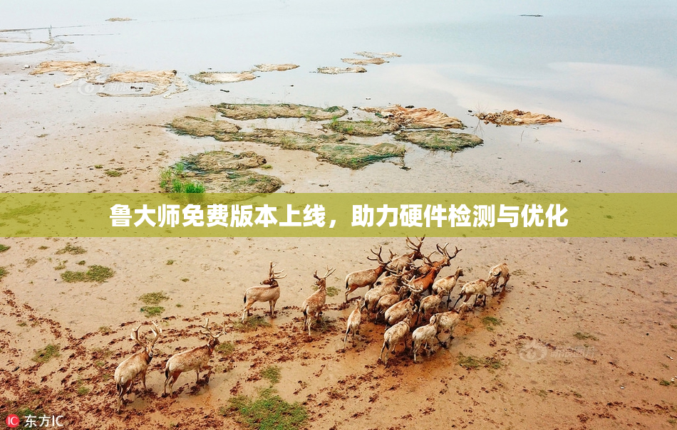 鲁大师免费版本上线，助力硬件检测与优化