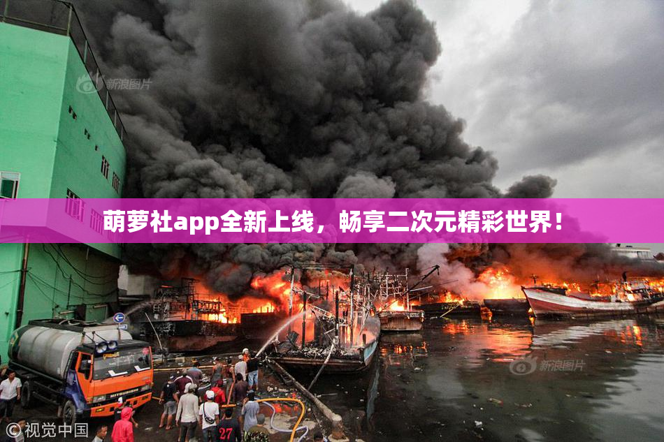 萌萝社app全新上线，畅享二次元精彩世界！