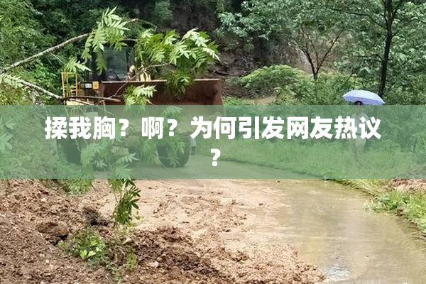 揉我胸？啊？为何引发网友热议？