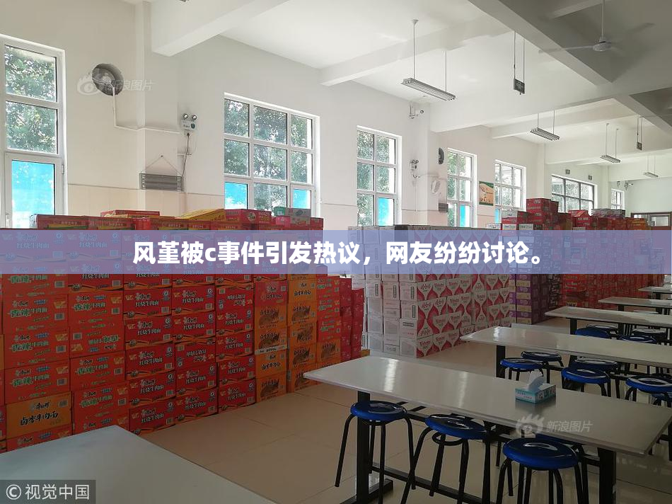 风堇被c事件引发热议，网友纷纷讨论。