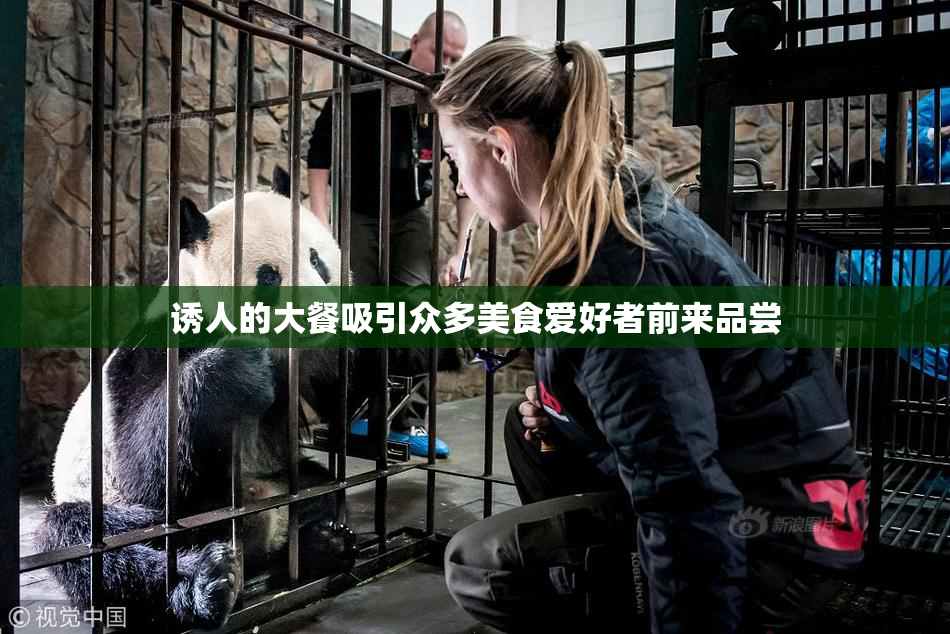 诱人的大餐吸引众多美食爱好者前来品尝