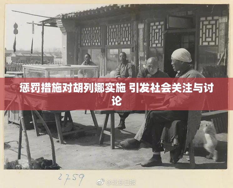 惩罚措施对胡列娜实施 引发社会关注与讨论