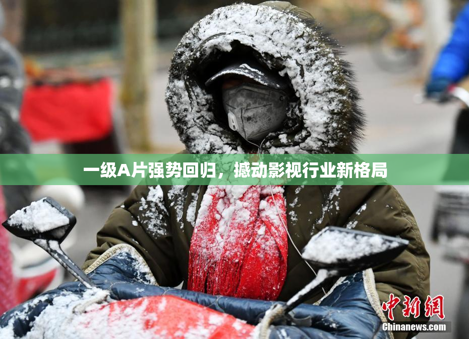 一级A片强势回归，撼动影视行业新格局