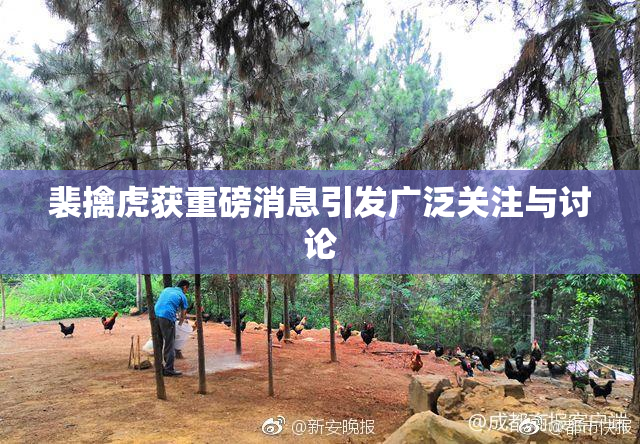 裴擒虎获重磅消息引发广泛关注与讨论