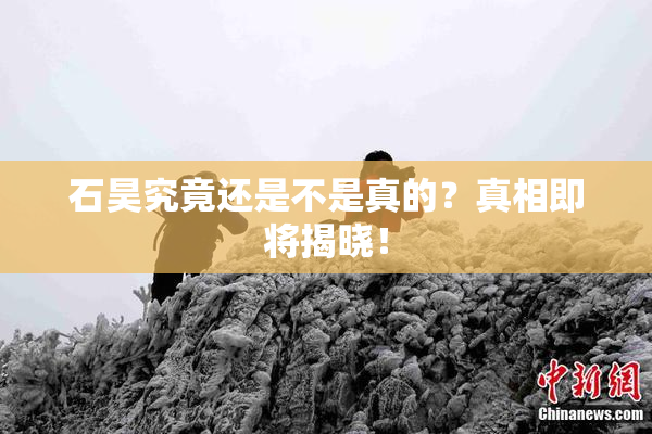 石昊究竟还是不是真的？真相即将揭晓！