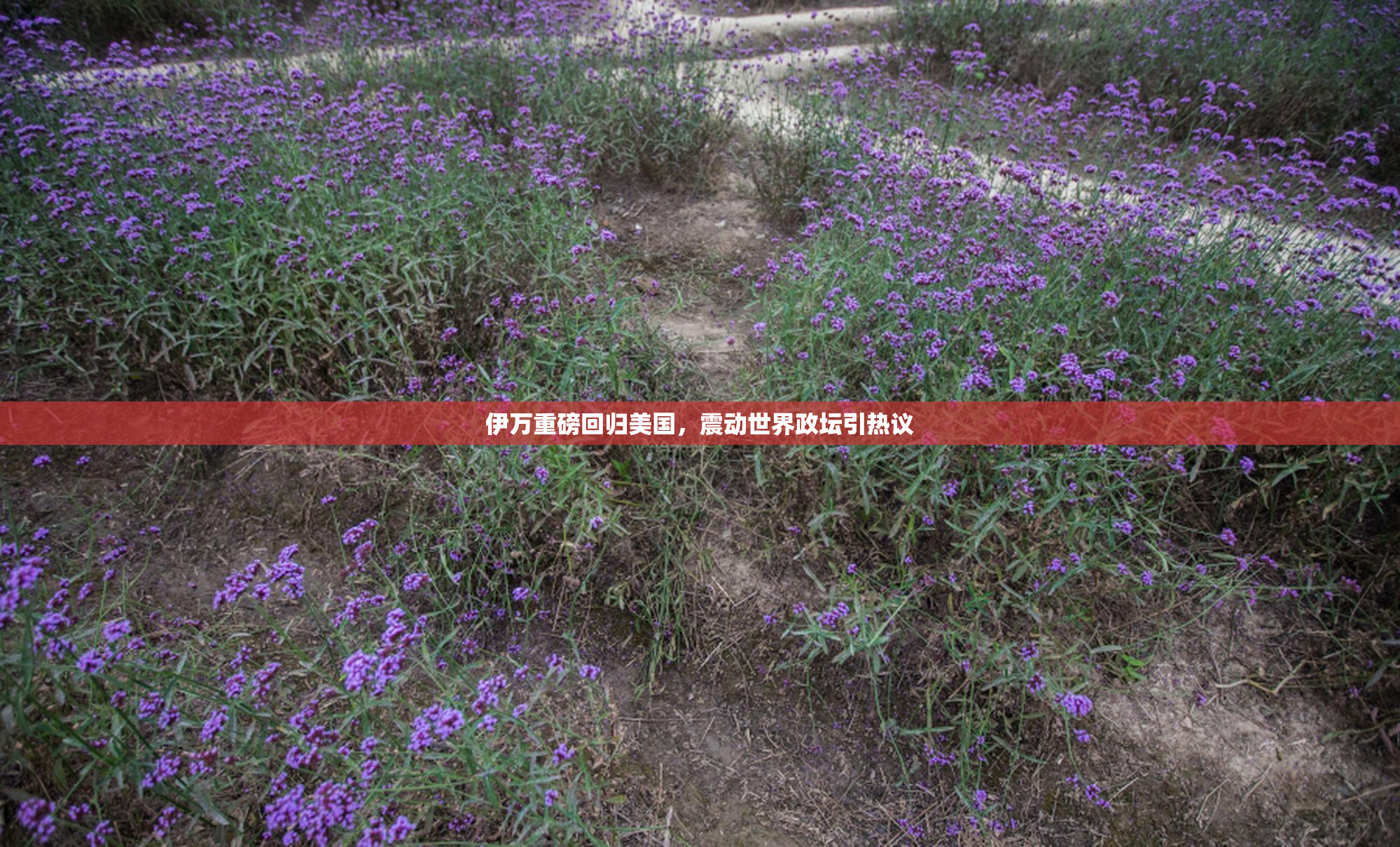 伊万重磅回归美国，震动世界政坛引热议