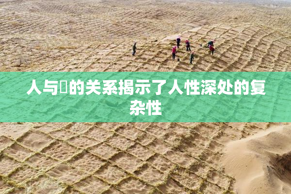 人与嘼的关系揭示了人性深处的复杂性