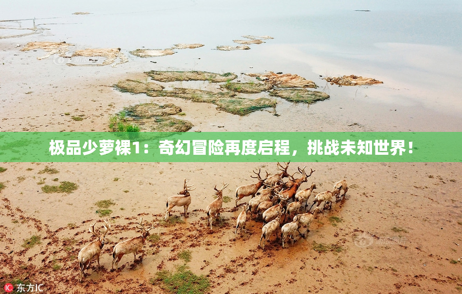 极品少萝裸1：奇幻冒险再度启程，挑战未知世界！