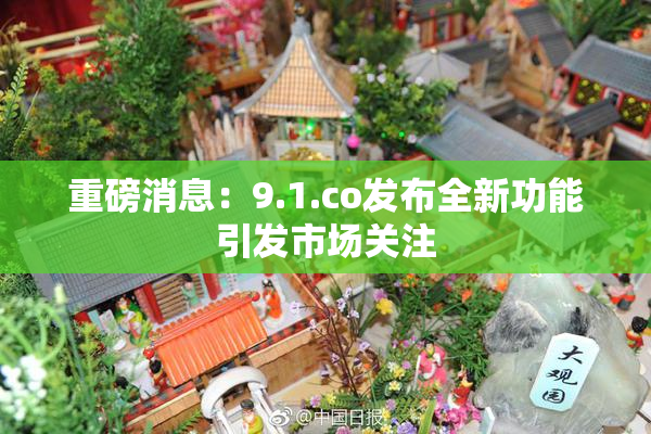 重磅消息：9.1.co发布全新功能引发市场关注