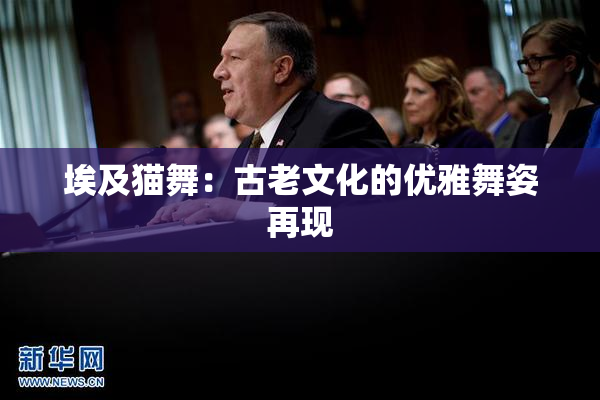埃及猫舞：古老文化的优雅舞姿再现
