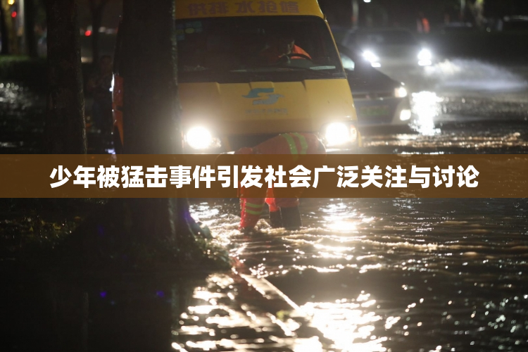 少年被猛击事件引发社会广泛关注与讨论