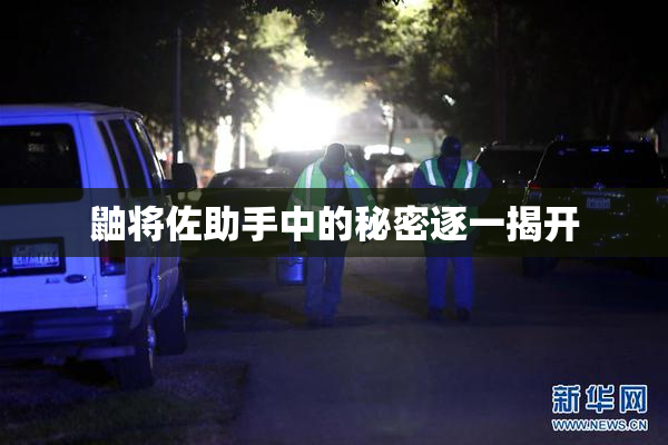 鼬将佐助手中的秘密逐一揭开