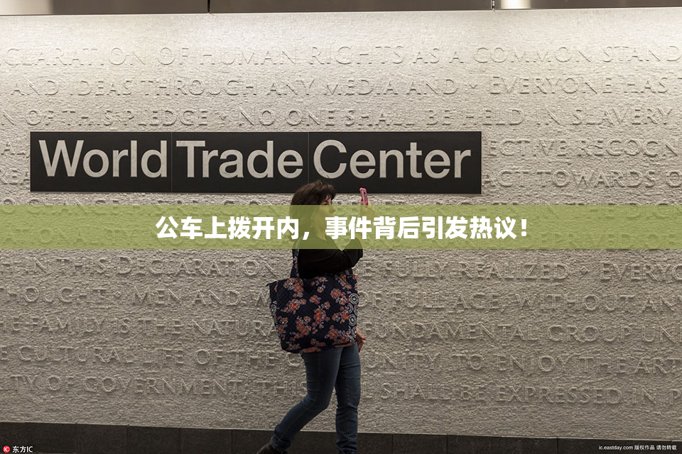 公车上拨开内，事件背后引发热议！