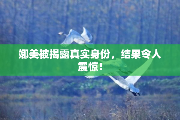 娜美被揭露真实身份，结果令人震惊！
