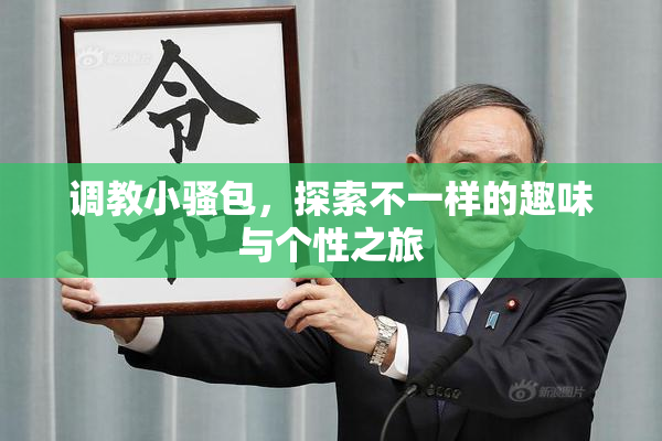 调教小骚包，探索不一样的趣味与个性之旅