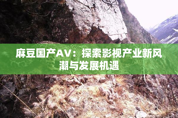 麻豆国产AV：探索影视产业新风潮与发展机遇