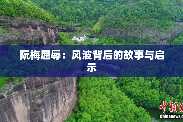 阮梅屈辱：风波背后的故事与启示