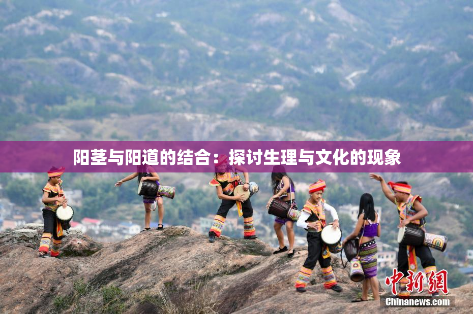 阳茎与阳道的结合：探讨生理与文化的现象