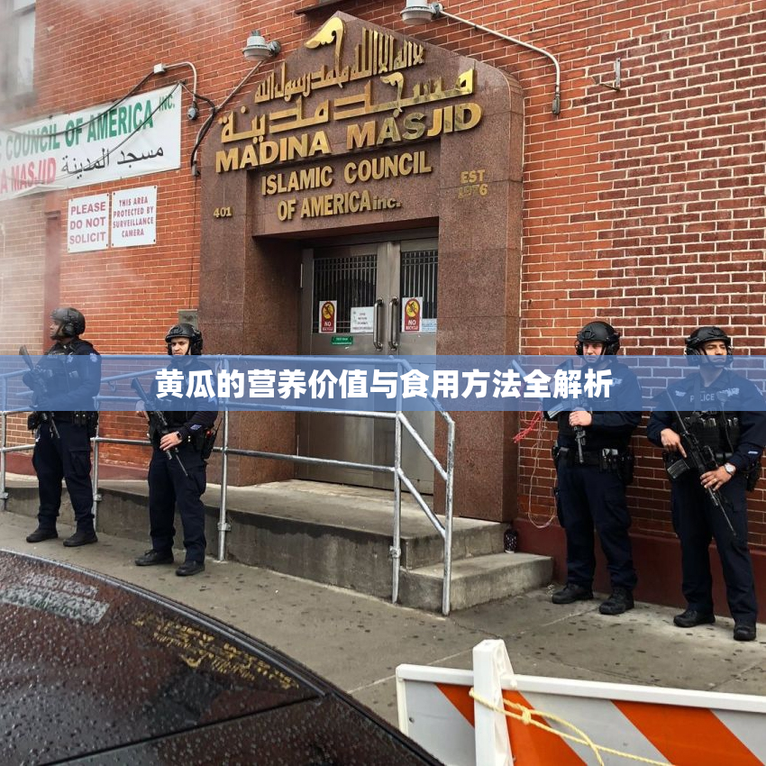 黄瓜的营养价值与食用方法全解析