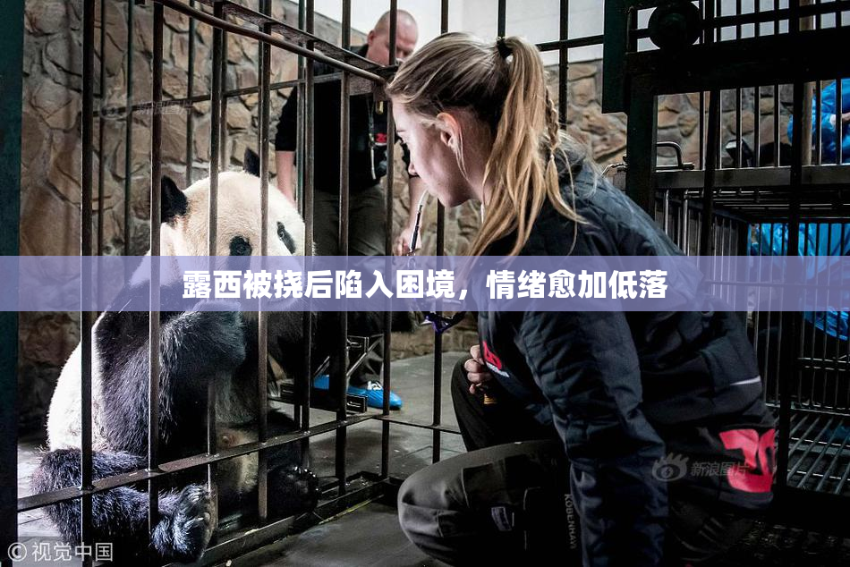 露西被挠后陷入困境，情绪愈加低落