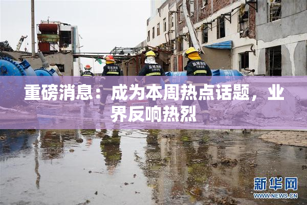 重磅消息：成为本周热点话题，业界反响热烈