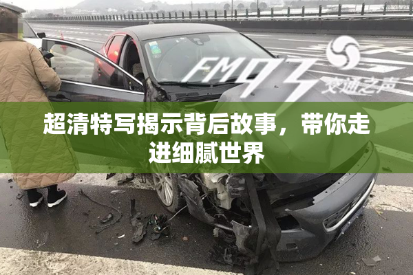 超清特写揭示背后故事，带你走进细腻世界