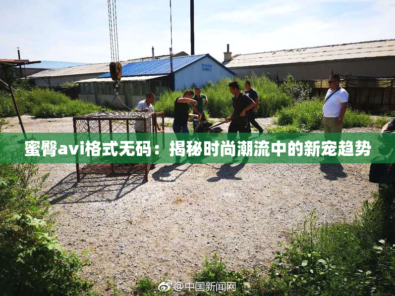 蜜臀avi格式无码：揭秘时尚潮流中的新宠趋势