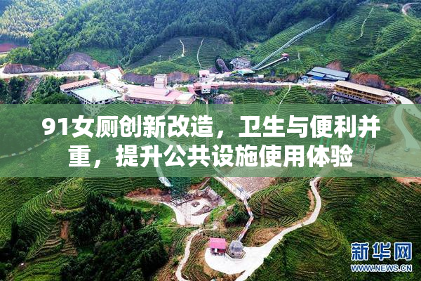91女厕创新改造，卫生与便利并重，提升公共设施使用体验