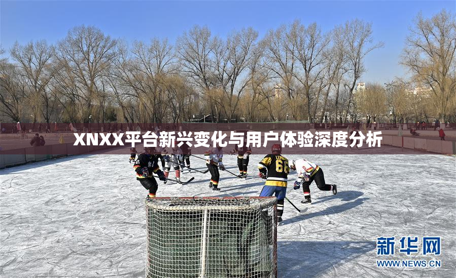 XNXX平台新兴变化与用户体验深度分析