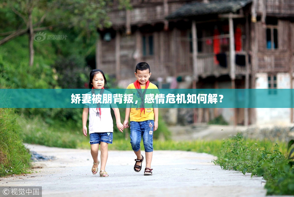 娇妻被朋背叛，感情危机如何解？