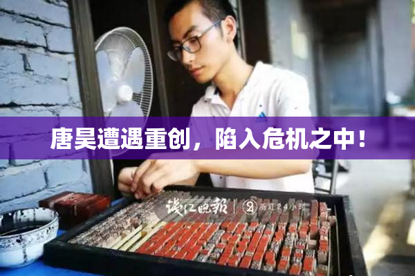 唐昊遭遇重创，陷入危机之中！
