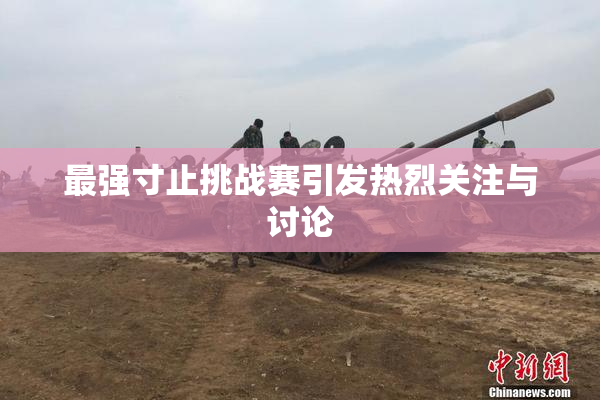 最强寸止挑战赛引发热烈关注与讨论