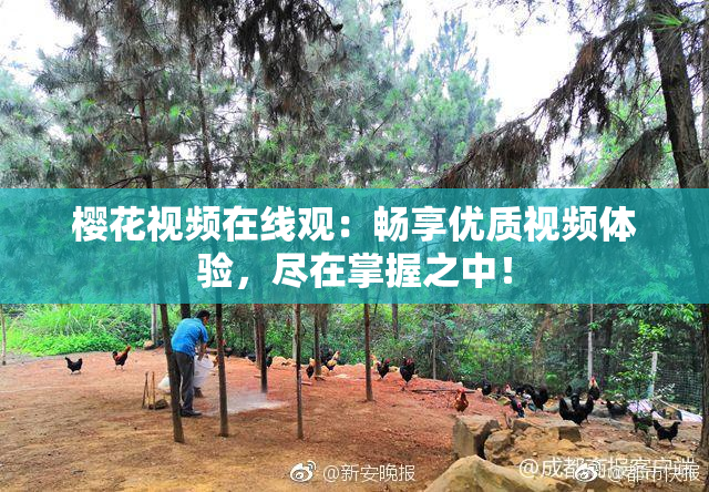 樱花视频在线观：畅享优质视频体验，尽在掌握之中！