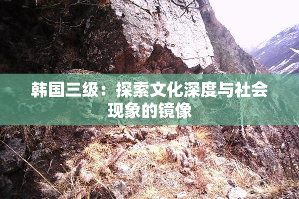 韩国三级：探索文化深度与社会现象的镜像