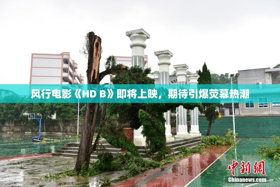 风行电影《HD B》即将上映，期待引爆荧幕热潮