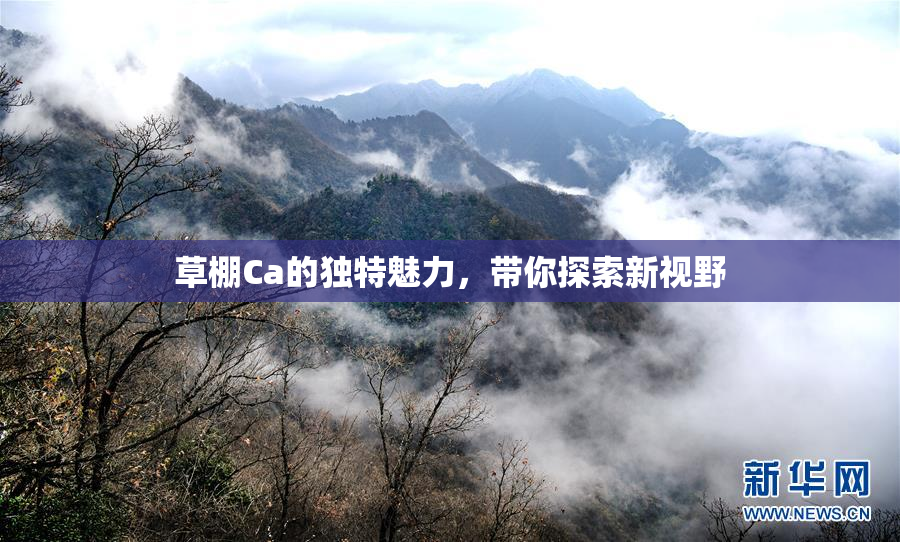 草棚Ca的独特魅力，带你探索新视野