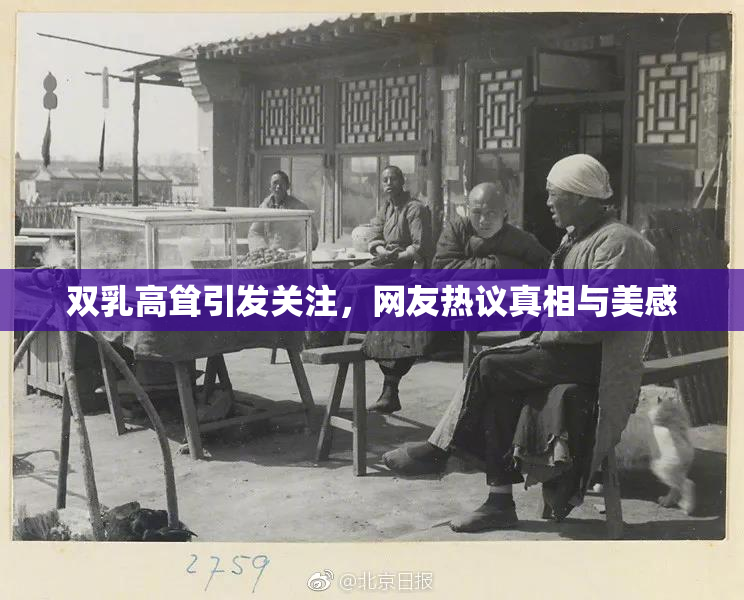 双乳高耸引发关注，网友热议真相与美感