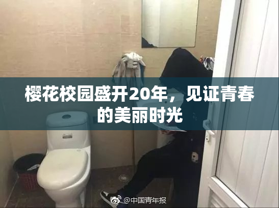 樱花校园盛开20年，见证青春的美丽时光